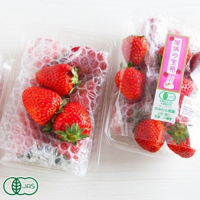 【感謝企画・クール便・予約】有機イチゴ 瑠璃の宝石 250g×4パック 有機JAS (京都府 かみむら農園) 産地直送 いちご