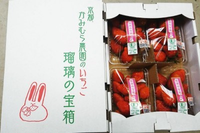 【感謝企画・クール便・予約】有機イチゴ 瑠璃の宝石 250g×4パック 有機JAS (京都府 かみむら農園) 産地直送 いちご