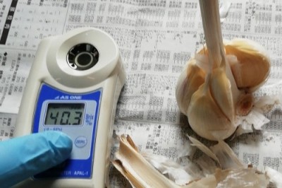 【セール】有機田子にんにく Sサイズ(玉) 1kg 有機JAS・自然農法 (青森県 やまもと農産) 産地直送