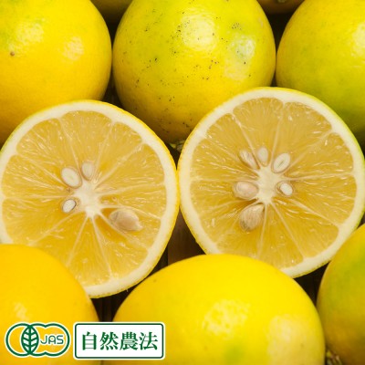 有機 マイヤーレモン A・B品サイズ混合 5kg 有機JAS 自然農法 (神奈川県小田原 自然園いしわた農場) 産地直送