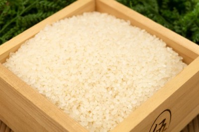 【令和6年度産】田口さんちのはさがけ天日干し米(まっしぐら) 精米 5kg 自然農法 (青森県 だんごっこファーム) 産地直送