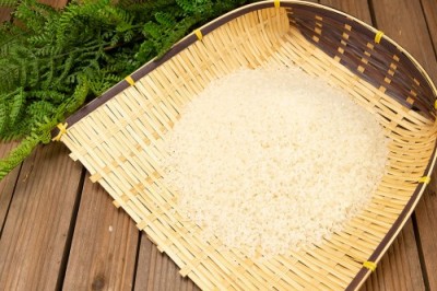 【令和6年度産】田口さんちのはさがけ天日干し米(まっしぐら) 精米 5kg 自然農法 (青森県 だんごっこファーム) 産地直送