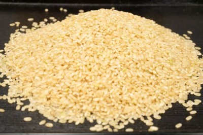 【令和6年度産】 田口さんちのはさがけ天日干し米(つがる) 玄米 10kg 自然農法 (青森県 だんごっこファーム) 産地直送