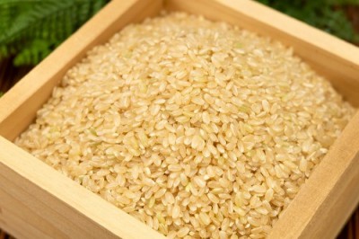 【令和6年度産】 田口さんちのはさがけ天日干し米(つがる) 玄米 10kg 自然農法 (青森県 だんごっこファーム) 産地直送