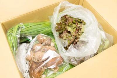 【クール便】江見さん家の野菜BOX 自然農法 有機JAS (岡山県 江見農園) 産地直送