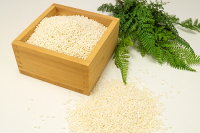 【令和6年度産】田口さんちのはさがけ天日干しもち米(アネコもち) 白米 1kg 自然農法 (青森県 だんごっこファーム) 産地直送