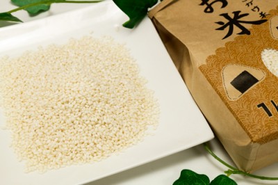 【令和6年度産】田口さんちのはさがけ天日干しもち米(アネコもち) 白米 1kg 自然農法 (青森県 だんごっこファーム) 産地直送