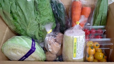 【定期購入商品・ポイント2倍】せっちゃんの有機野菜セット 4週間配送 有機JAS (青森県 あおぞら農園) 産地直送