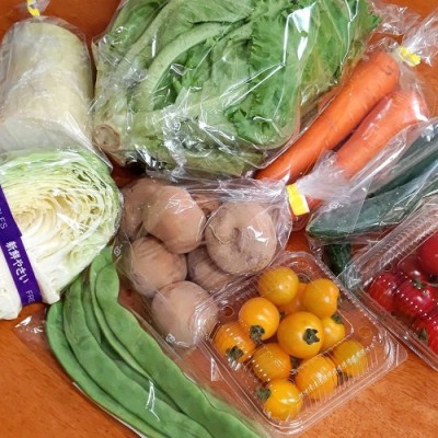 【定期購入商品・ポイント2倍】せっちゃんの有機野菜セット 4週間配送 有機JAS (青森県 あおぞら農園) 産地直送