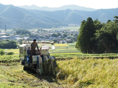 【令和6年度産】有機コシヒカリ 玄米 20kg 有機JAS (福井県 米農房そまねこ) 産地直送