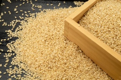 【令和6年度産】はるみ 玄米 20kg 自然農法 (徳島県 久米健文) 産地直送