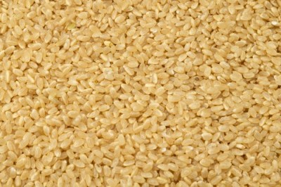 【令和6年度産】はるみ 玄米 20kg 自然農法 (徳島県 久米健文) 産地直送