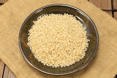 【令和6年度産】はるみ 玄米 20kg 自然農法 (徳島県 久米健文) 産地直送
