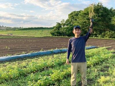 干し芋 250g×5袋 農薬・化学肥料不使用の原料使用　(青森県 Ryosuke Oyasai) 産地直送 ほし芋