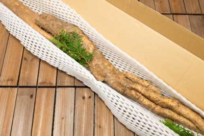 有機 自然薯 家庭用 約1.2kg(1〜5本) 有機JAS (熊本県 那須自然農園) 産地直送
