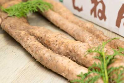 有機 自然薯 家庭用 約1.2kg(1〜5本) 有機JAS (熊本県 那須自然農園) 産地直送
