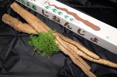 有機 自然薯 家庭用 約1.2kg(1〜5本) 有機JAS (熊本県 那須自然農園) 産地直送