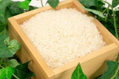 【令和6年度産】有機米 ササニシキ 精米 30kg 有機JAS 自然農法 (宮城県 仙台たんの農園) 産地直送