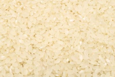 【令和6年度産】有機米 ササニシキ 精米 30kg 有機JAS 自然農法 (宮城県 仙台たんの農園) 産地直送