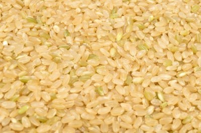 【令和6年度産】有機米 ササニシキ 玄米 10kg 有機JAS 自然農法 (宮城県 仙台たんの農園) 産地直送