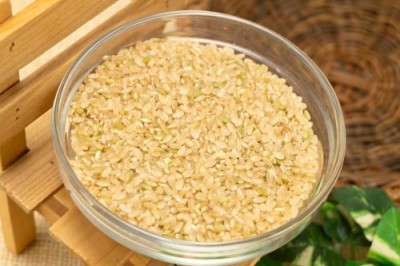 【令和6年度産】有機米 ササニシキ 玄米 10kg 有機JAS 自然農法 (宮城県 仙台たんの農園) 産地直送