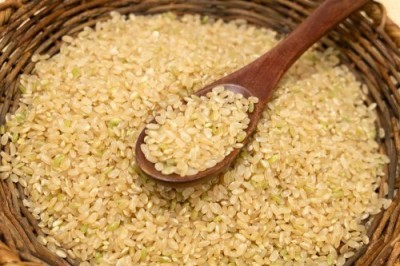 【令和6年度産】有機米 ササニシキ 玄米 10kg 有機JAS 自然農法 (宮城県 仙台たんの農園) 産地直送