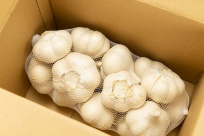 有機 田子にんにく Lサイズ(玉) 10kg 有機JAS 自然農法 (青森県 やまもと農産) 産地直送