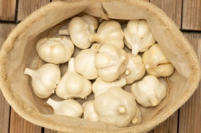 有機 田子にんにく Lサイズ(玉) 10kg 有機JAS 自然農法 (青森県 やまもと農産) 産地直送