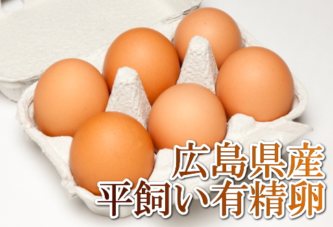 【ポイント2倍】平飼い有精卵　6個×12パック(広島県　はやしなちゅらるふぁーむ)送料無料・産地直送・健康たまご