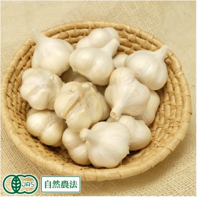 有機 田子にんにく Lサイズ(玉) 2kg 有機JAS 自然農法 (青森県 やまもと農産) 産地直送