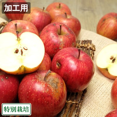 【加工用】 ふじ 10kg箱 (青森県 田村りんご農園) 青森りんご 産地直送