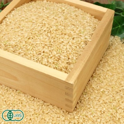 【令和6年度産】 銀河のしずく 玄米 10kg 有機JAS (岩手県 いわて大東有機) 産地直送