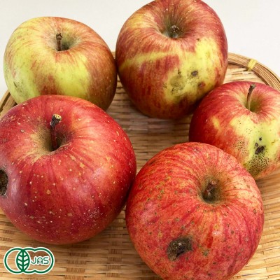【加工用】有機りんご(赤) 5kg箱 有機JAS 北上農園(青森県)