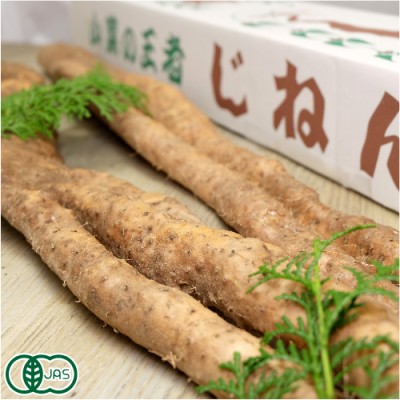 有機 自然薯 家庭用 約1.2kg(1〜5本) 有機JAS (熊本県 那須自然農園) 産地直送