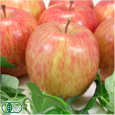 【小玉】有機 サンふじ A品 4kg 有機JAS (青森県 北上農園) 産地直送