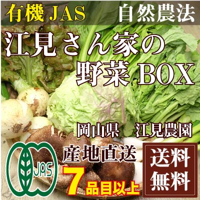 【クール便】江見さん家の野菜BOX 自然農法 有機JAS (岡山県 江見農園) 産地直送