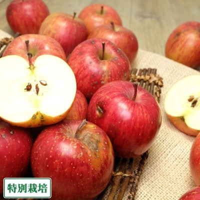 【加工用】 ふじ 5kg箱 (青森県 田村りんご農園) 青森りんご 産地直送