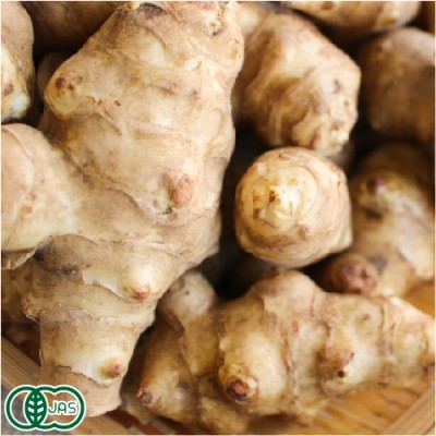 有機 菊芋 洗い 1kg 有機JAS (青森県 あおぞら農園) 産地直送