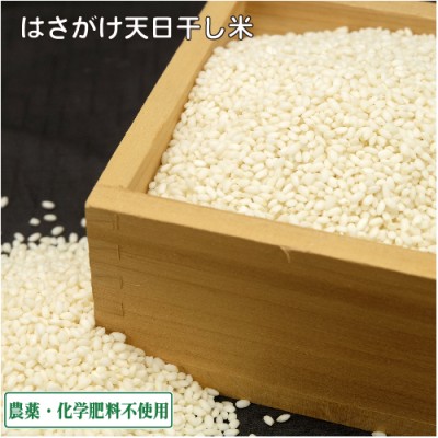 【令和6年度産】田口さんちのはさがけ天日干しもち米(アネコもち) 白米 1kg 自然農法 (青森県 だんごっこファーム) 産地直送