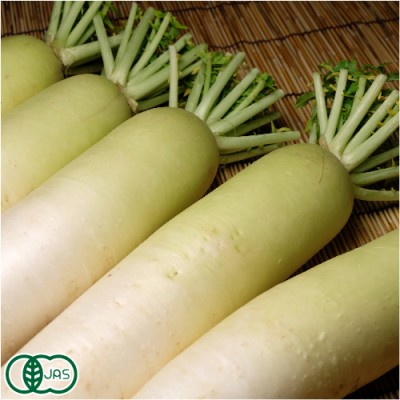 有機 大根 約5kg(4本前後) 有機JAS (青森県 あおぞら農園)  産地直送