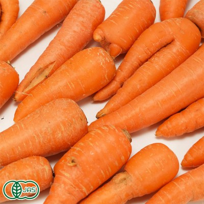 【B品】有機 にんじん (洗い) 5kg 有機JAS (青森県 南風農園) 産地直送