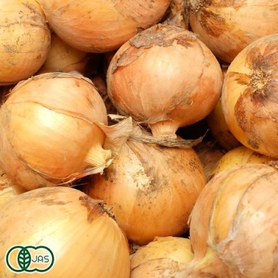 【サイズ無選別】 有機 玉ねぎ  5kg 有機JAS (北海道 はるか農園) 産地直送