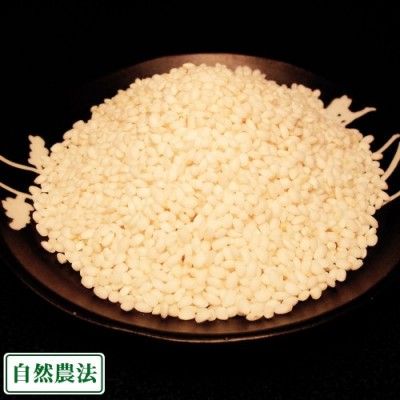 【令和6年度産】もち米(こがねもち) 白米・玄米 20kg 自然農法 (山形県 佐藤農園) 産地直送