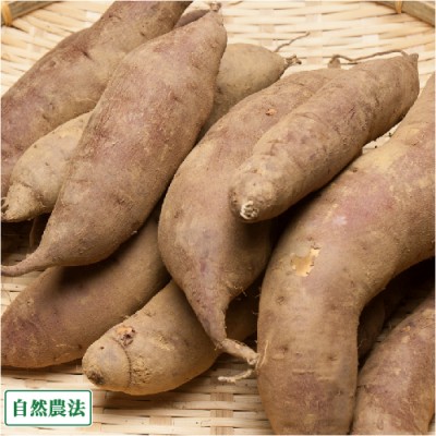 【AB品サイズ混合】さつまいも 紅あずま 6kg 自然農法 (青森県 アグリメイト南郷) 産地直送
