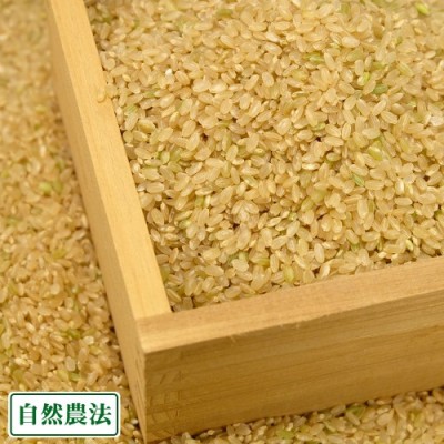 【令和6年度産米】 あきたこまち 玄米 30kg 自然農法 (青森県 谷川幸雄) 産地直送