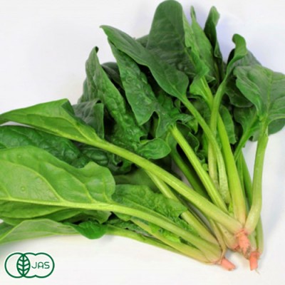 有機 ほうれん草 750g(150g×5袋) 有機JAS (青森県 あおぞら農園) 産地直送
