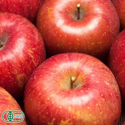 有機サンふじ A品 3kg箱 有機JAS (青森県 北上農園)