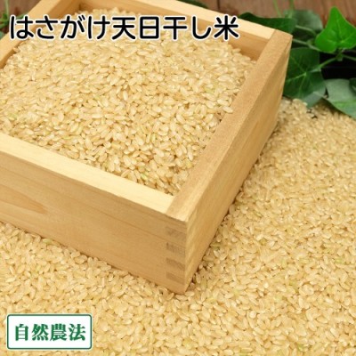 【令和6年度産】 田口さんちのはさがけ天日干し米(つがる) 玄米 10kg 自然農法 (青森県 だんごっこファーム) 産地直送