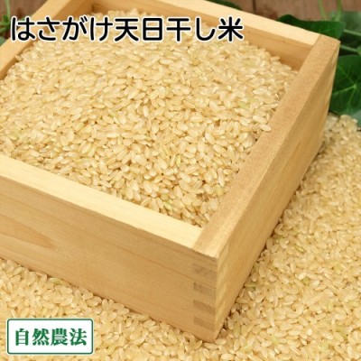 【令和6年度産】田口さんちのはさがけ天日干し米(あきた) 玄米 5kg 自然農法 (青森県 だんごっこファーム) 産地直送