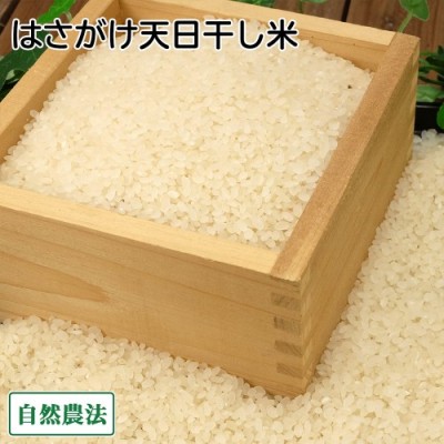 【令和6年度産】田口さんちのはさがけ天日干し米(あきた) 精米 5kg 自然農法 (青森県 だんごっこファーム) 産地直送
